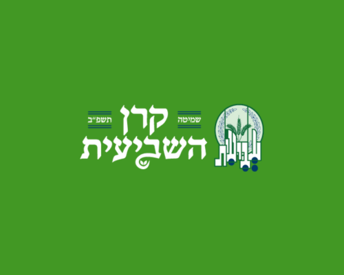 קאברים לאתר (30)